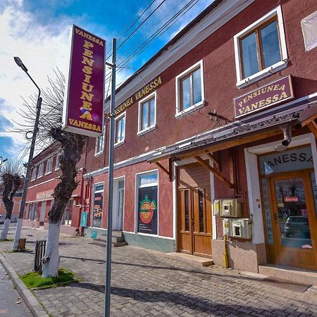 Pensiunea Vanessa Făgăraş Exteriör bild