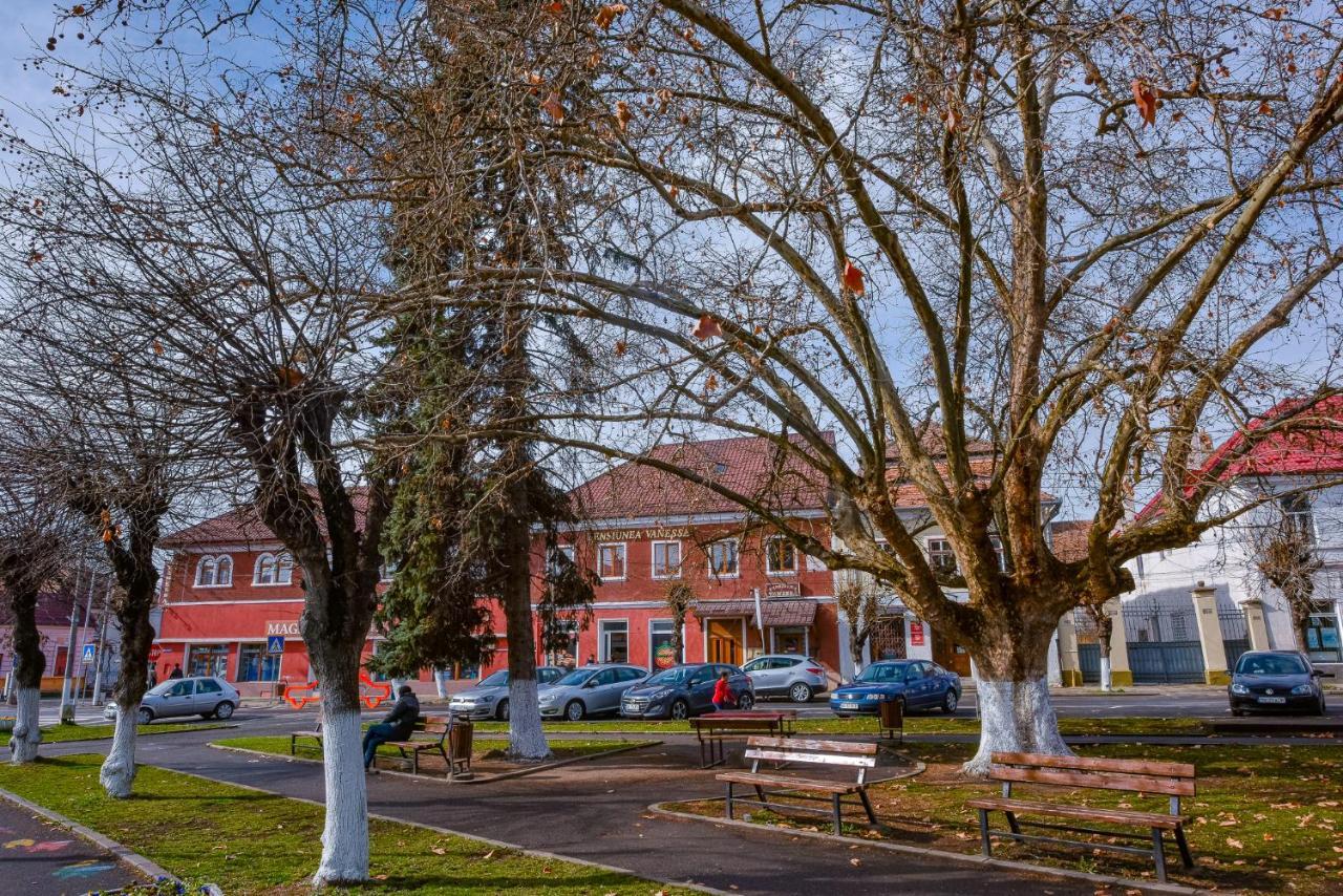 Pensiunea Vanessa Făgăraş Exteriör bild