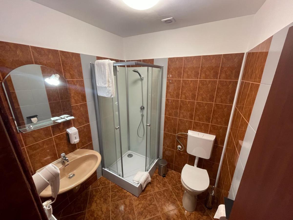 Pensiunea Vanessa Făgăraş Exteriör bild
